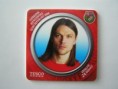 Fotbalová reprezentace ČR pro Euro 2008